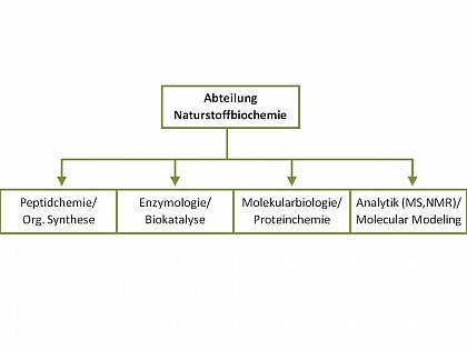 Flussdiagramm Forschung2