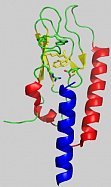 nGPL-1 Receptor (Runge et al. JBC 2008;283:11340-11347