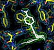 Rauh, D., Klebe, G. and Stubbs, M.T. (2004) Understanding protein-ligand interactions: The price of protein flexibility. J. Mol. Biol. 335, 1325-1341.