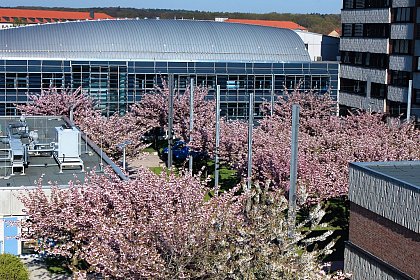 Institute for Biochemistry und Biotechnology