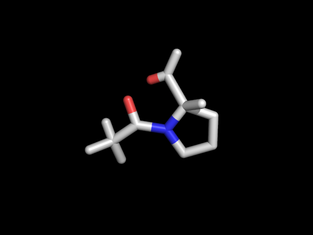 Dr. C. Schiene-Fischer
Peptidyl-Prolyl-cis/trans-Isomerasen
(PPIasen)
