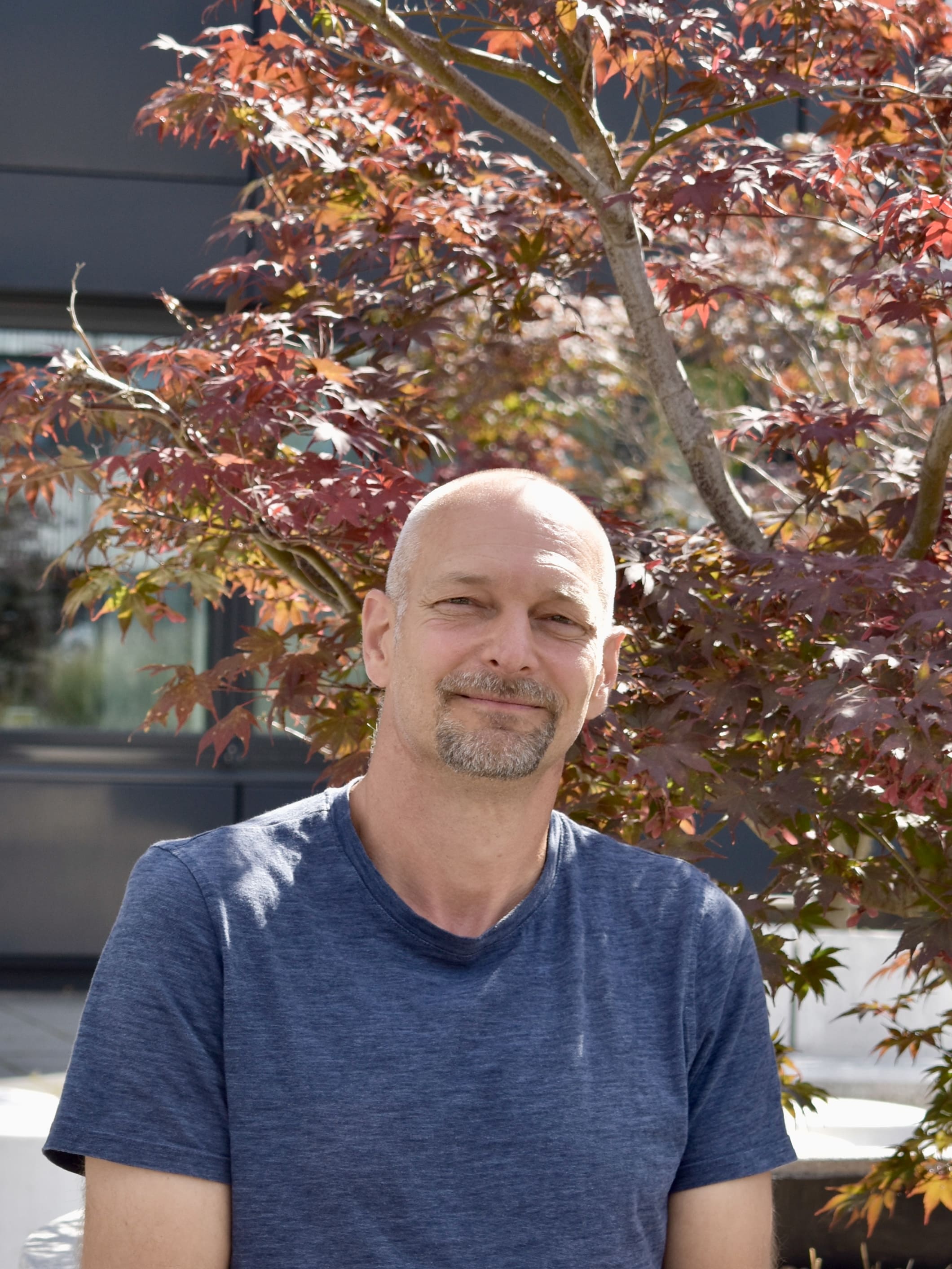 Torsten Gursinsky Torsten Gursinsky